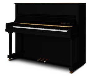 Bösendorfer Piano Grand Upright 120 SE